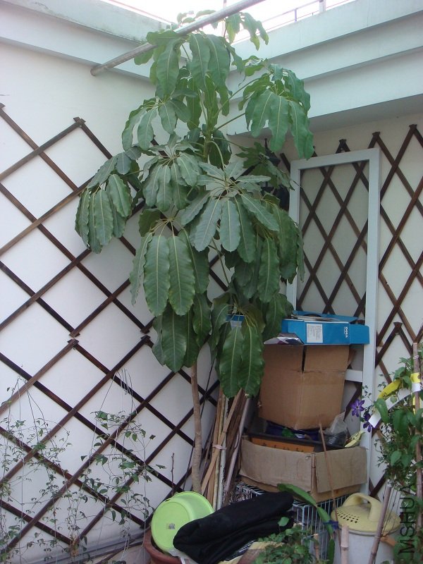 DSC08902.JPG