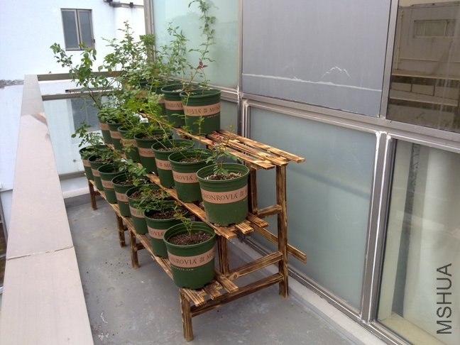 201110062146.jpg