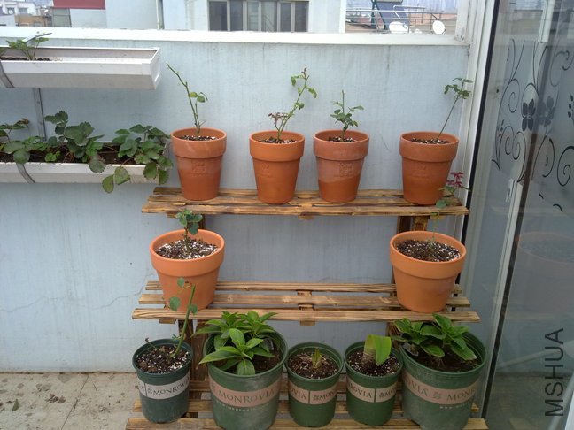 201110062145.jpg