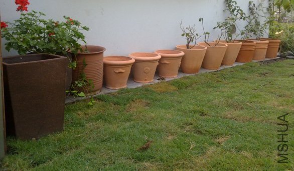 201110082156.jpg
