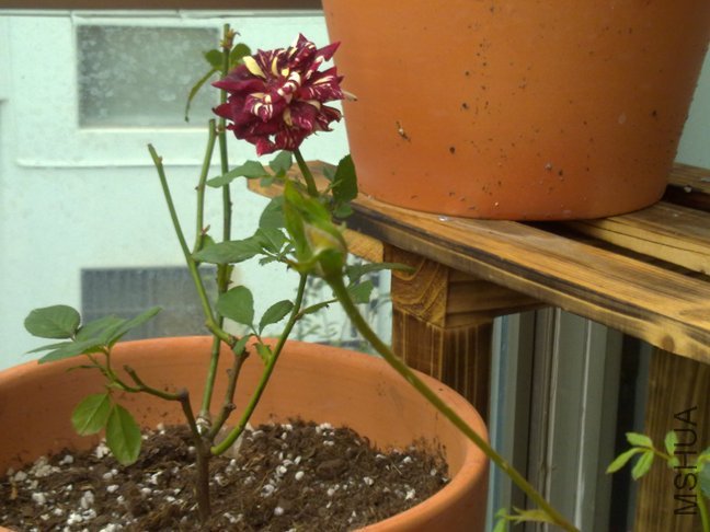 201110062149.jpg