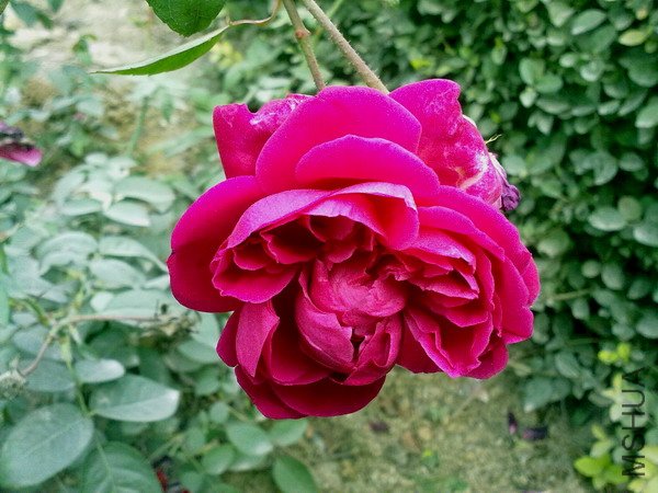 201110091129.jpg