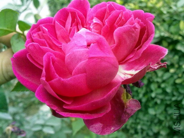 201110091130.jpg