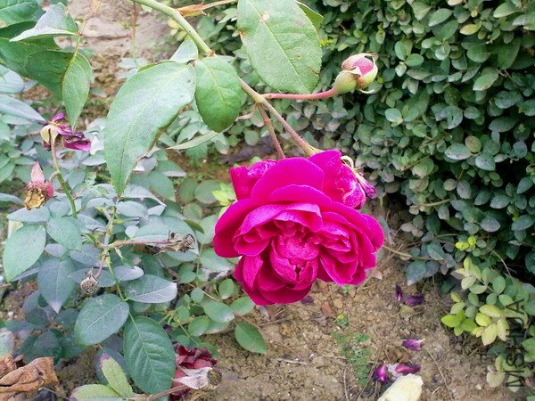 201110091131.jpg