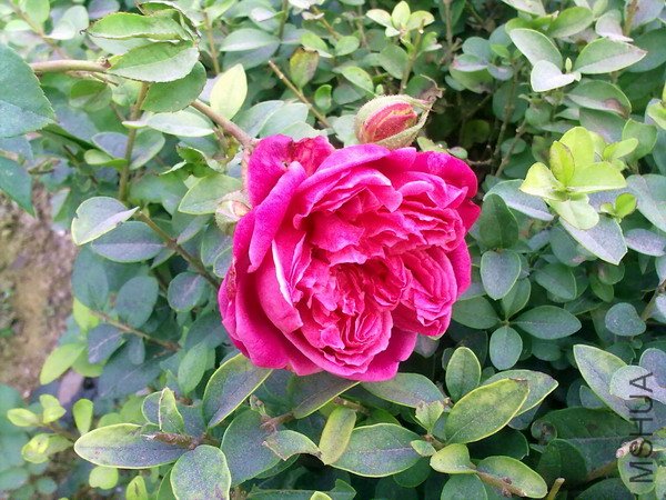 201110091132.jpg