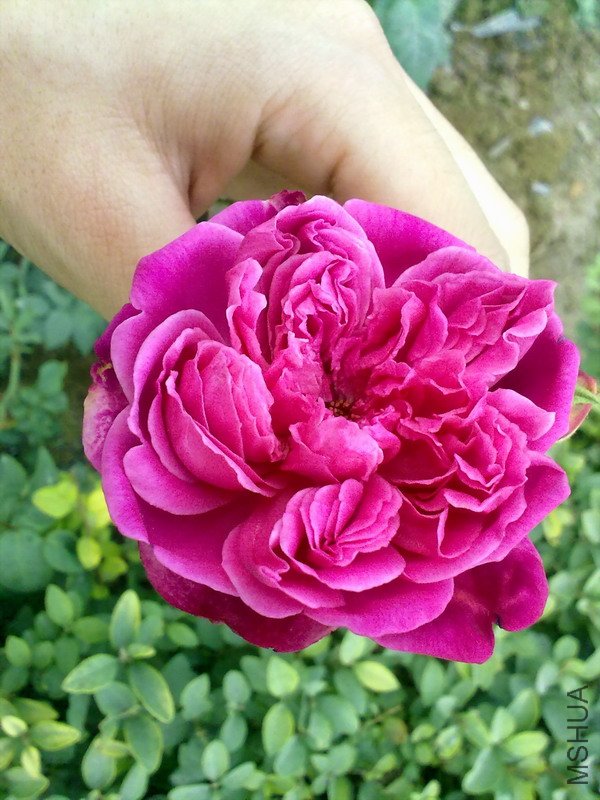201110091133.jpg