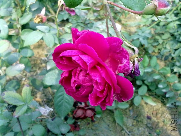 201110091135.jpg