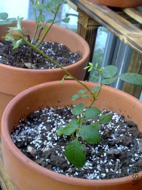 201110102178.jpg