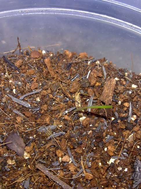 201110102186.jpg