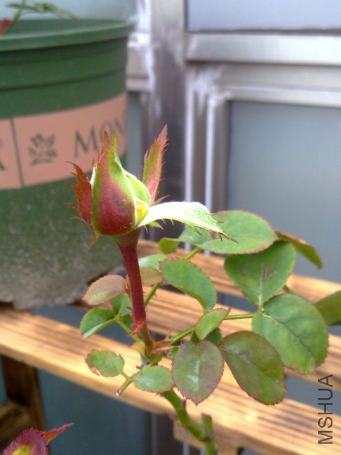 201110102169.jpg