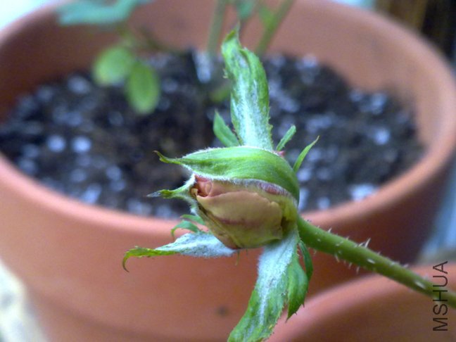 201110102177.jpg