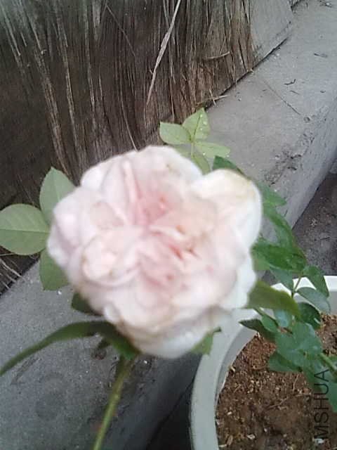 Q_DI@7PK]}UF7BZ])1{4QEE0.jpg