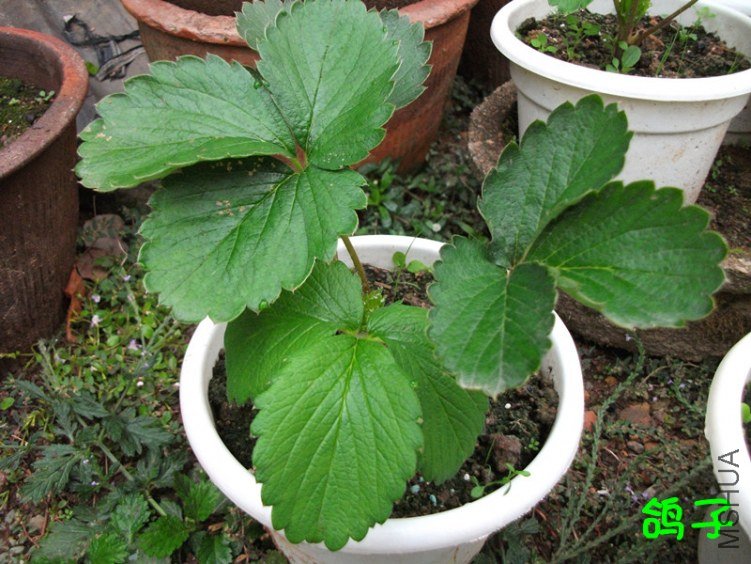 DSCF2971_����.jpg