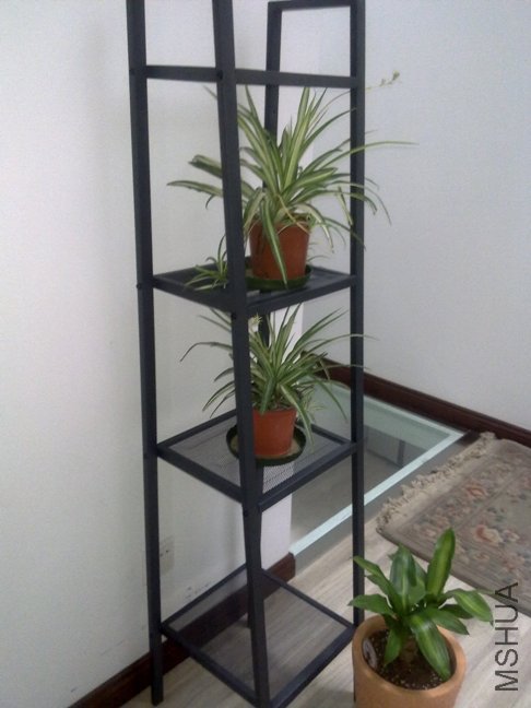 201110112197.jpg