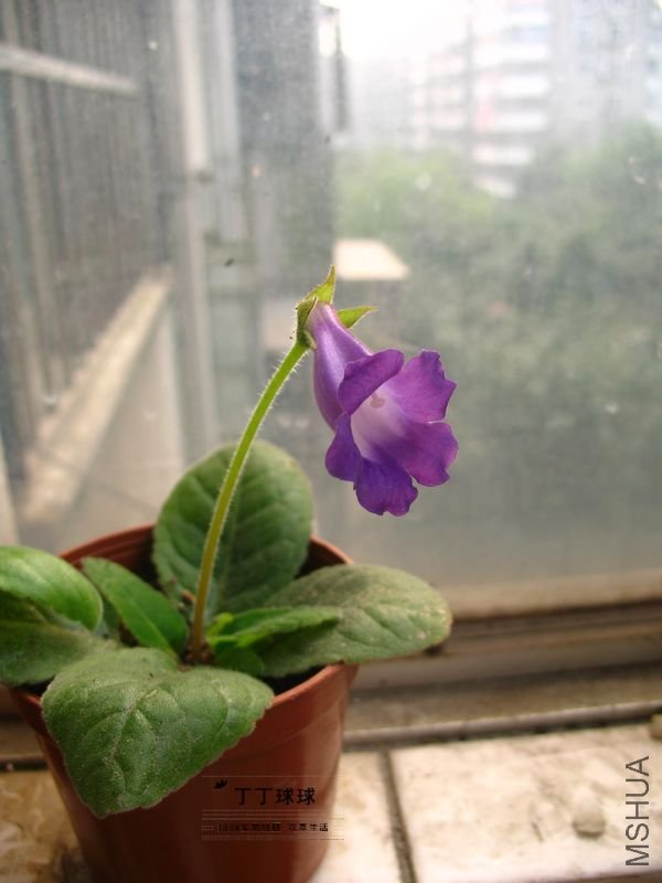 IMG_5624.JPG