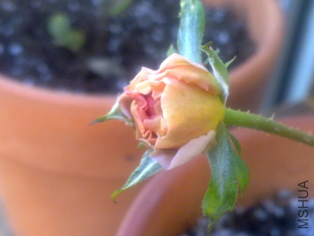 201110122214.jpg