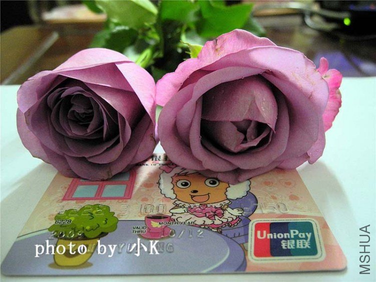 DSCN2495.jpg