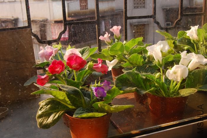 nEO_IMG_��Ƭ 773.jpg