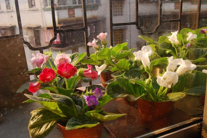 nEO_IMG_��Ƭ 776.jpg