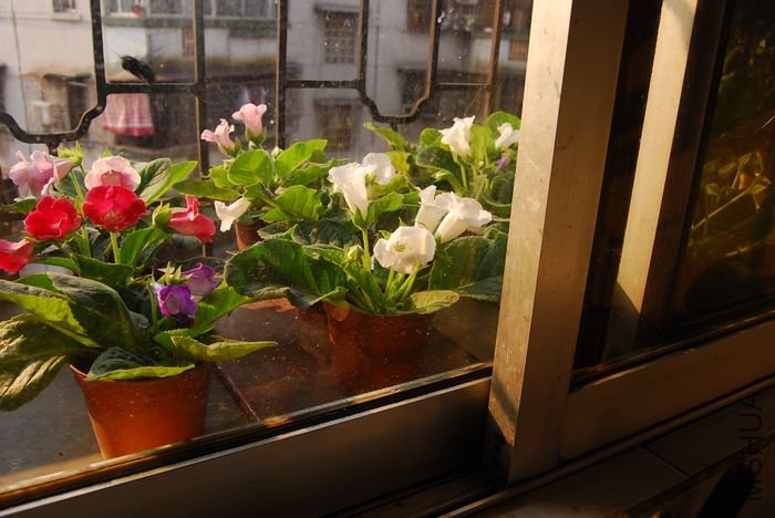 nEO_IMG_��Ƭ 777.jpg