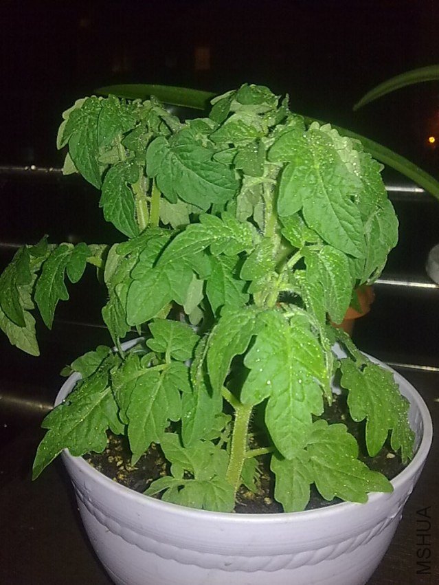 201110121620.jpg