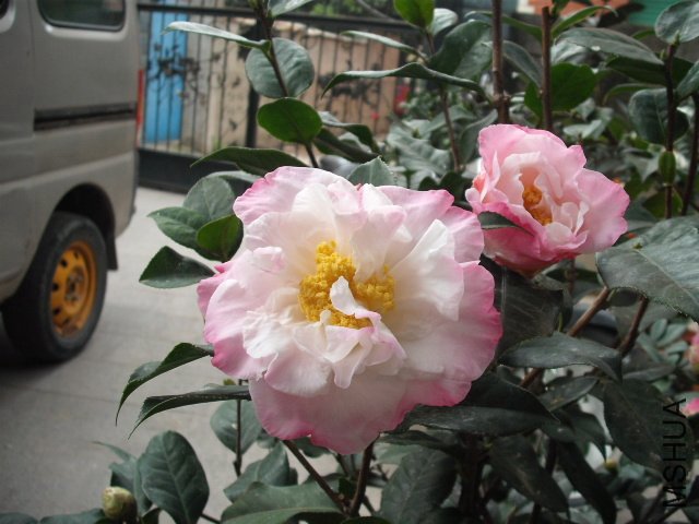 ʥ��2.JPG
