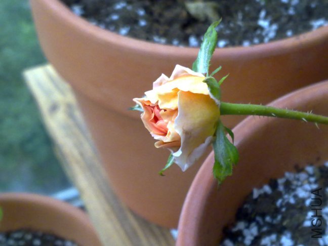201110132233.jpg