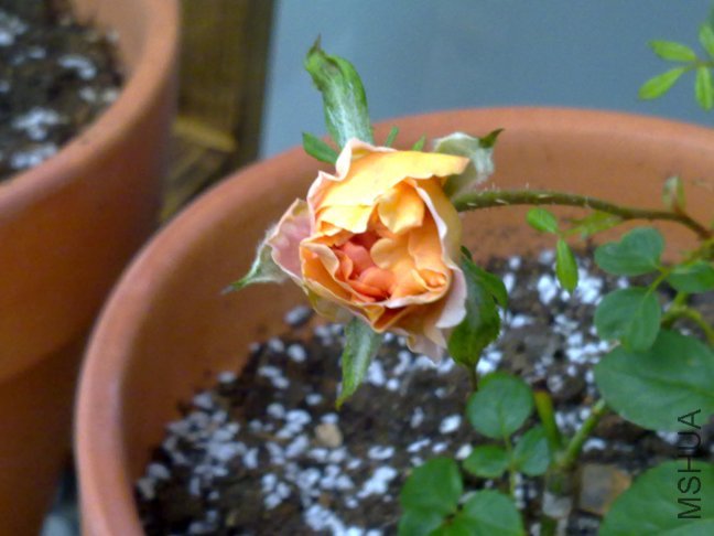 201110132231.jpg