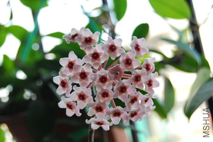 nEO_IMG_��Ƭ 208.jpg