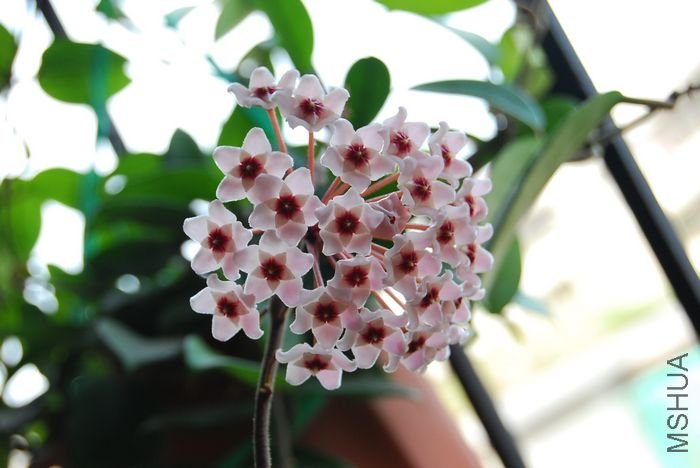 nEO_IMG_��Ƭ 209.jpg