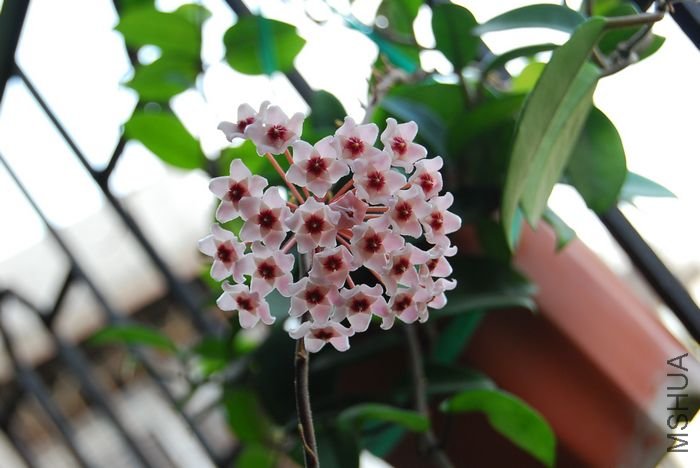 nEO_IMG_��Ƭ 210.jpg