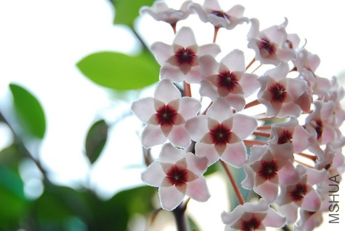 nEO_IMG_��Ƭ 211.jpg