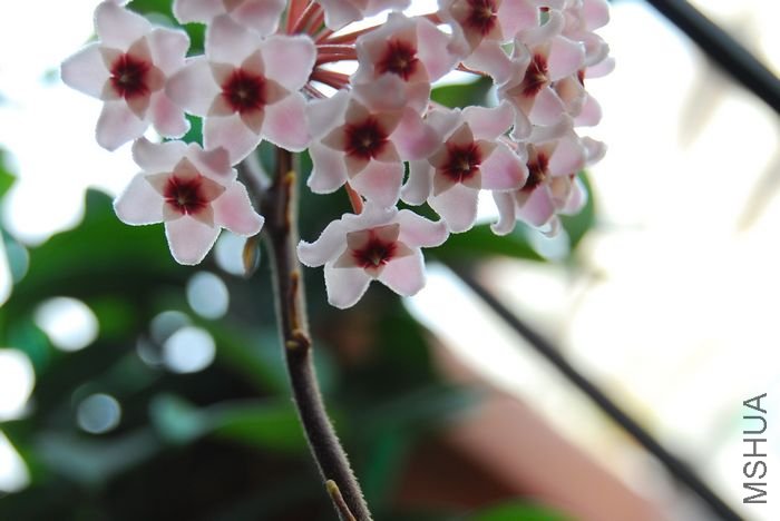 nEO_IMG_��Ƭ 212.jpg