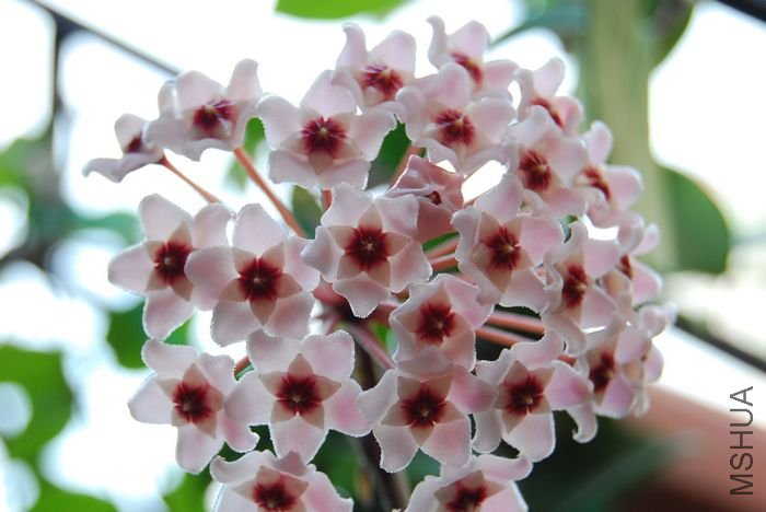 nEO_IMG_��Ƭ 213.jpg