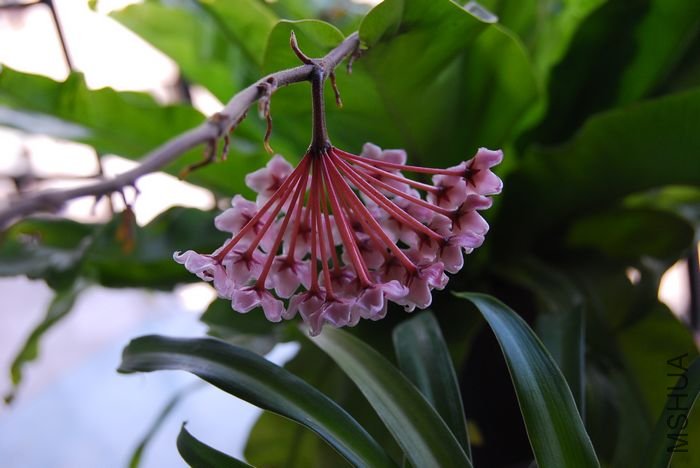 nEO_IMG_��Ƭ 214.jpg