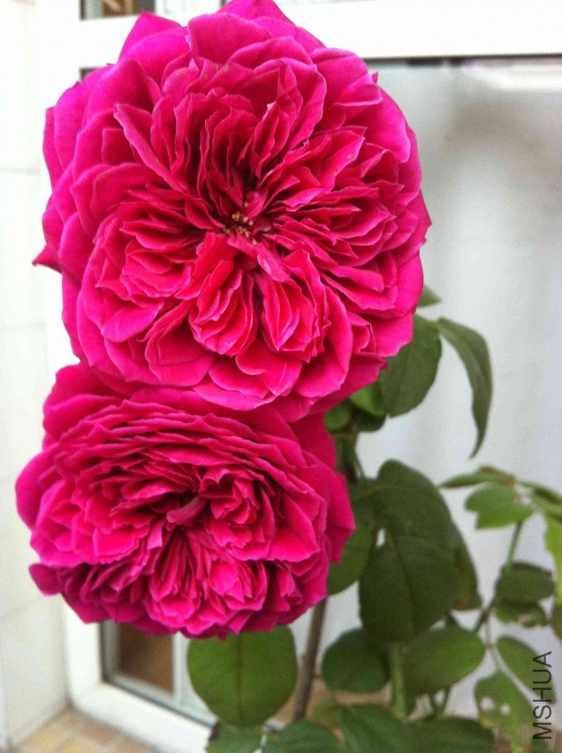 2011092801.jpg