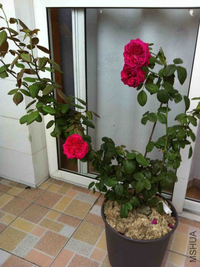 2011092802.jpg