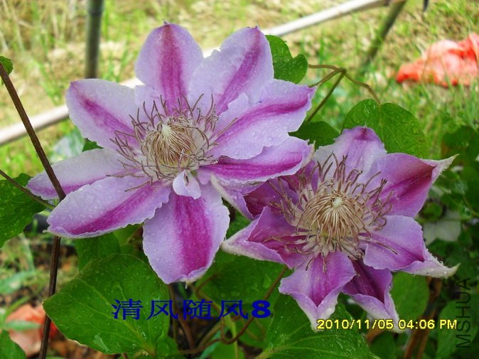 ������1 (1).jpg