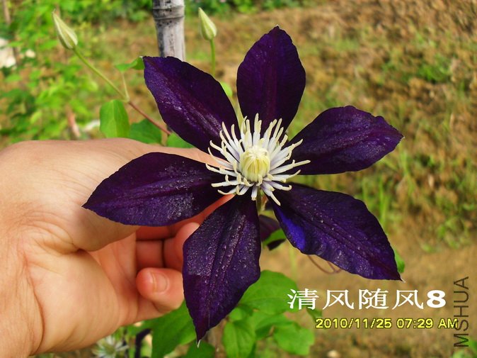 ��������1 (1).jpg