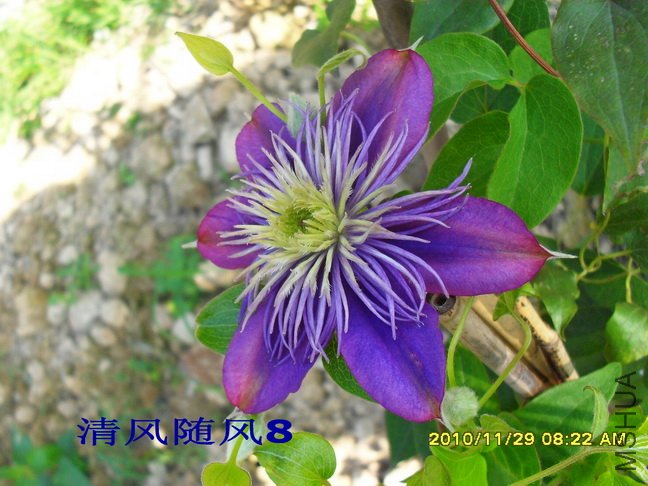 ˮ����Ȫ (4).jpg