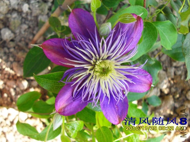 ˮ����Ȫ (5).jpg