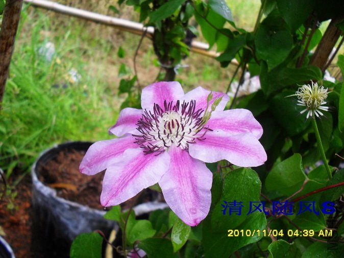 ����ξ2 (3).jpg