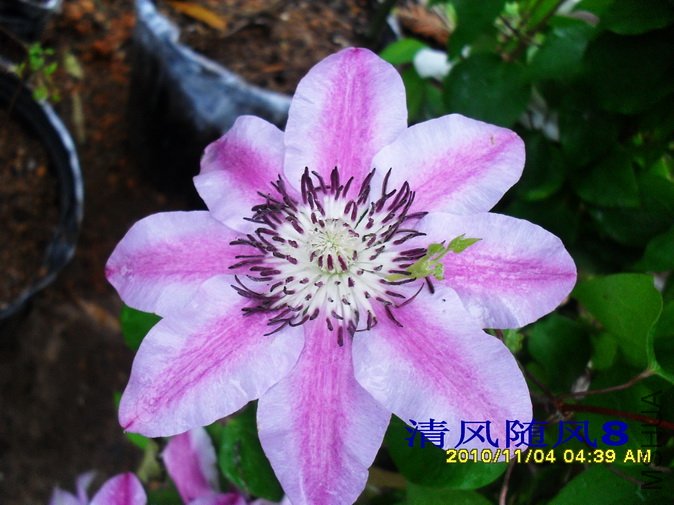 ����ξ2 (1).jpg