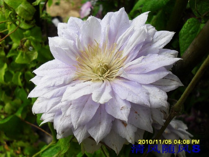 �ֽ���Ů1 (1).jpg