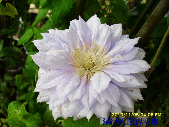 �ֽ���Ů1 (2).jpg