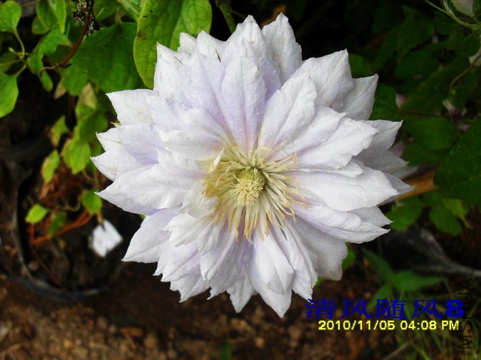 �ֽ���Ů1 (3).jpg