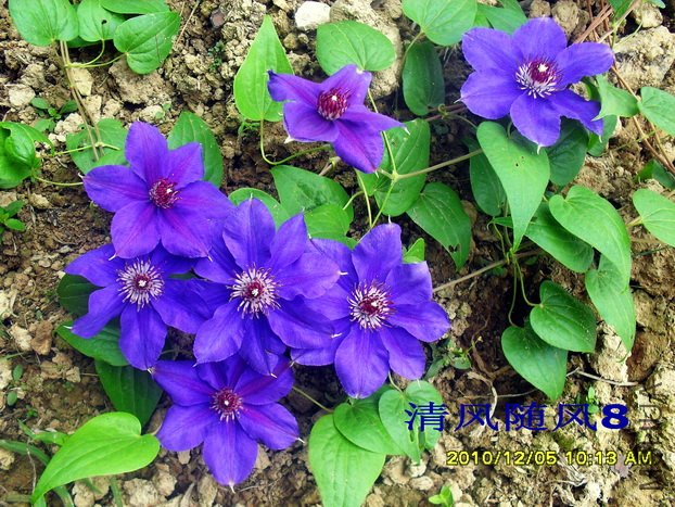 ����1 (1).jpg