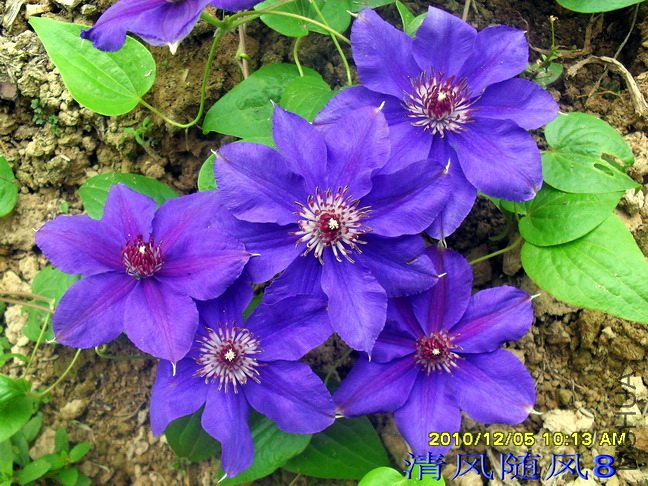 ����1 (2).jpg