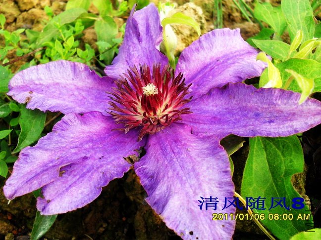 ������1 (3).jpg