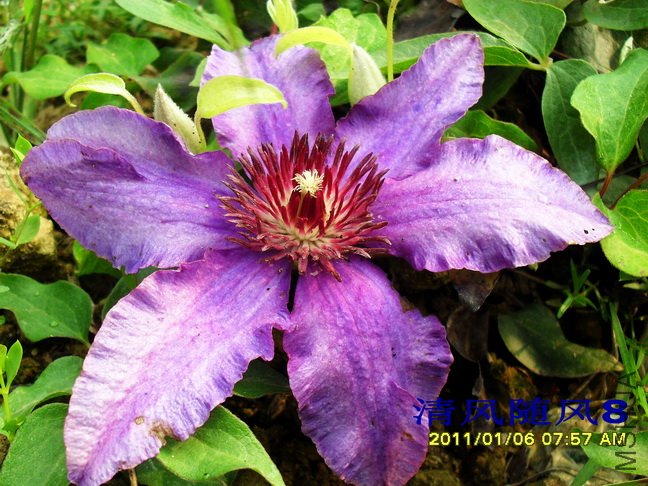 ������1 (1).jpg